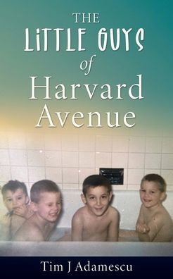 The Little Guys Of Harvard Avenue
