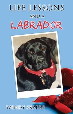 Life Lessons And A Labrador