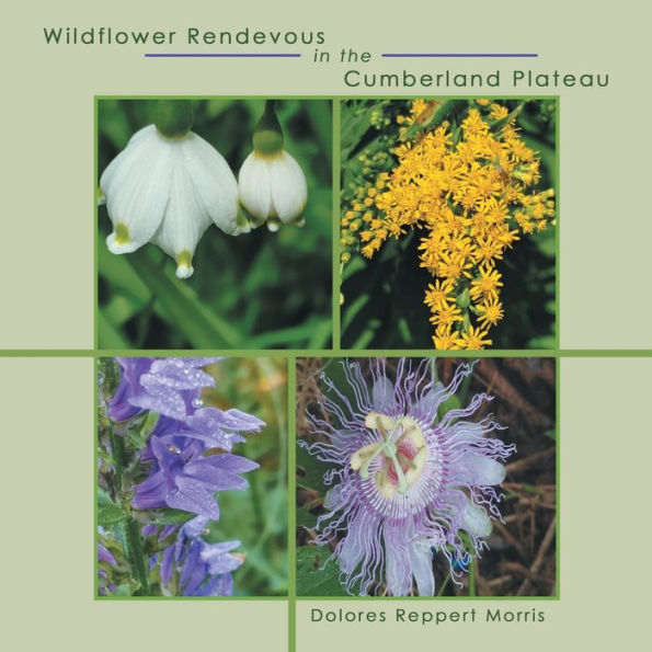 Wildflower Rendevous In The Cumberland Plateau
