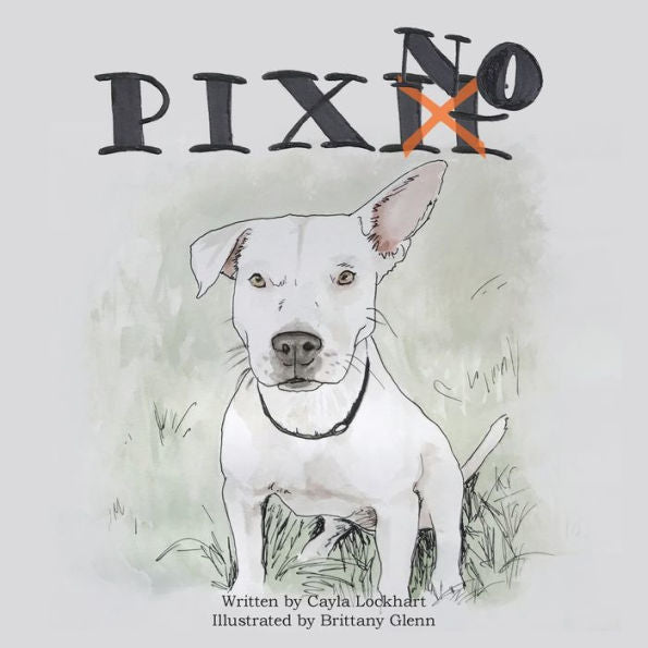 ¡Pixno!