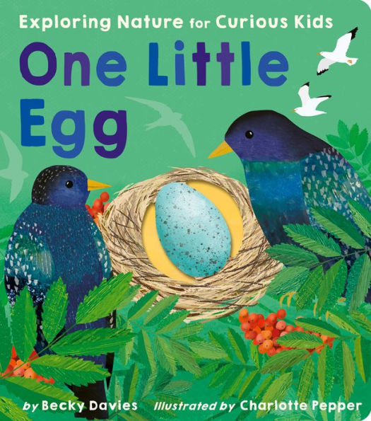 One Little Egg: Exploring Nature For Curious Kids