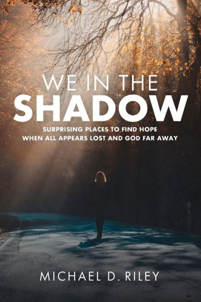 We In The Shadow: Surprising Places To Find Hope When All Appears Lost And God Far Away