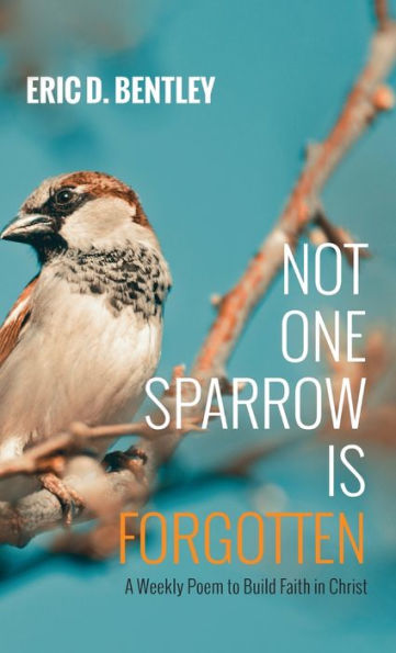 Not One Sparrow Is Forgotten: A Weekly Poem To Build Faith In Christ