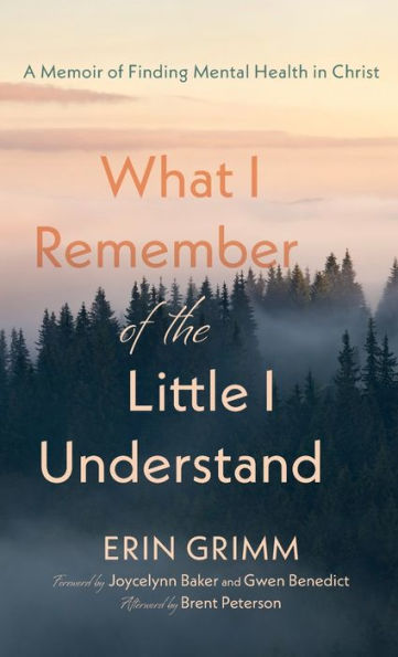 What I Remember Of The Little I Understand: A Memoir Of Finding Mental Health In Christ