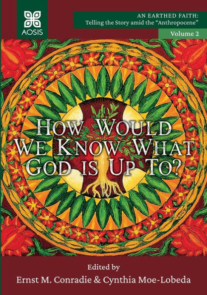 How Would We Know What God Is Up To?: An Earthed Faith, Volume 2