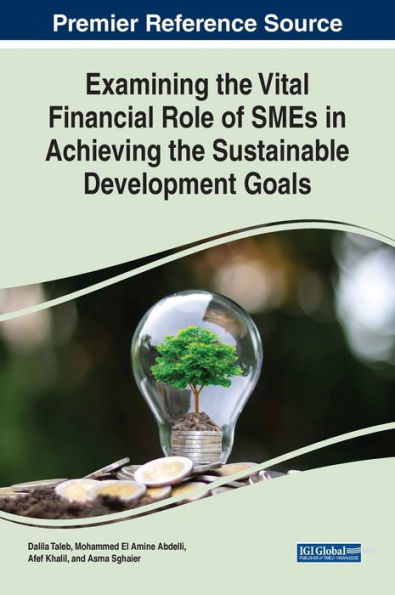 Examining The Vital Financial Role Of Smes In Achieving The Sustainable Development Goals (Advances In Logistics, Operations, And Management Science)