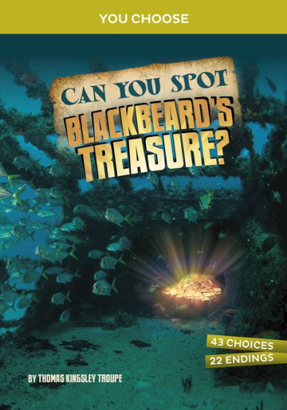 Can You Spot Blackbeard'S Treasure?: An Interactive Treasure Adventure (You Choose: Treasure Hunters)