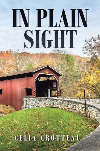 In Plain Sight