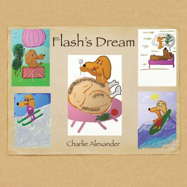 Flash'S Dream