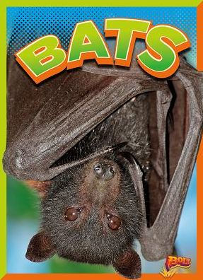 Murciélagos (reino animal salvaje)