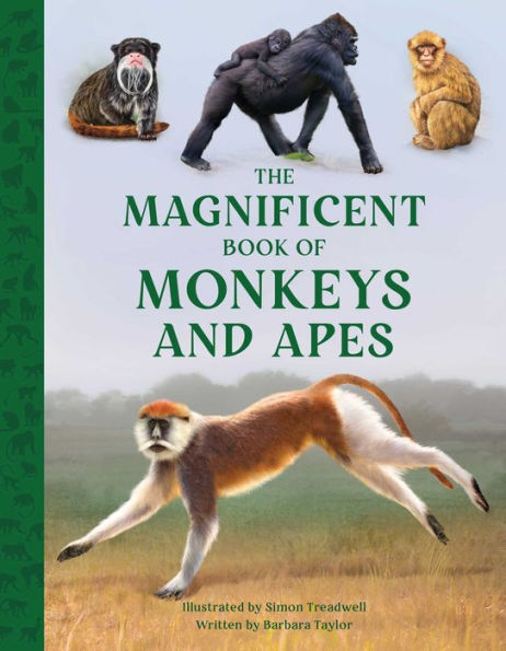 The Magnificent Book Of Monkeys And Apes