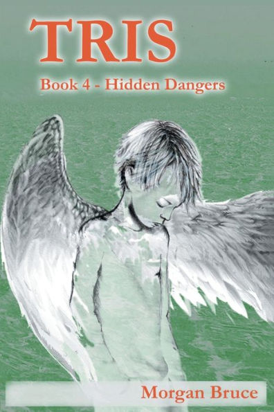 Tris 4: Hidden Dangers - 9781682357262