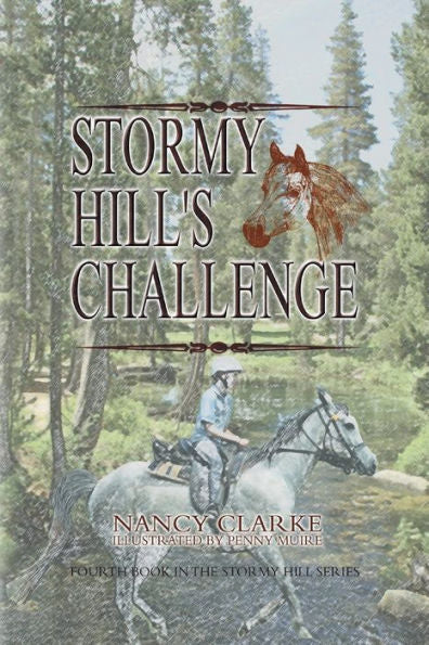 Stormy Hill'S Challenge: Fourth Book In The Stormy Hill Series