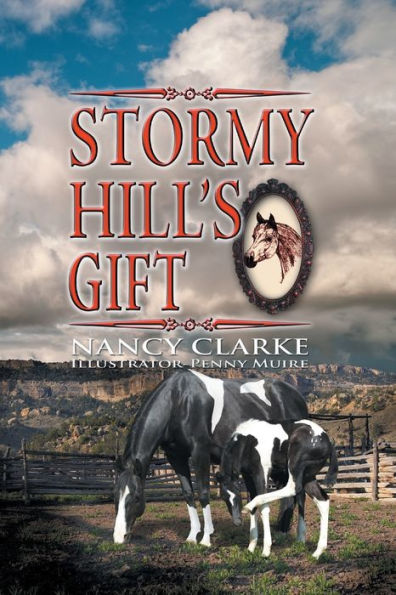 Stormy Hill'S Gift