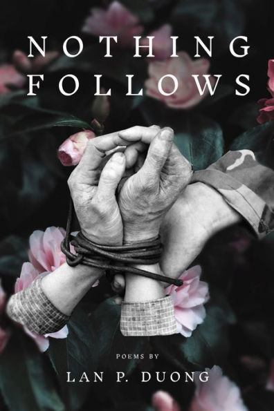 Nothing Follows (Diasporic Vietnamese Artists Network Series)