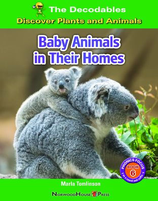 Baby Animals In Their Homes