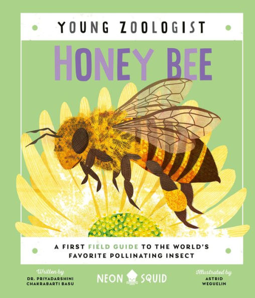 Honey Bee (Young Zoologist): A First Field Guide To The World'S Favorite Pollinating Insect