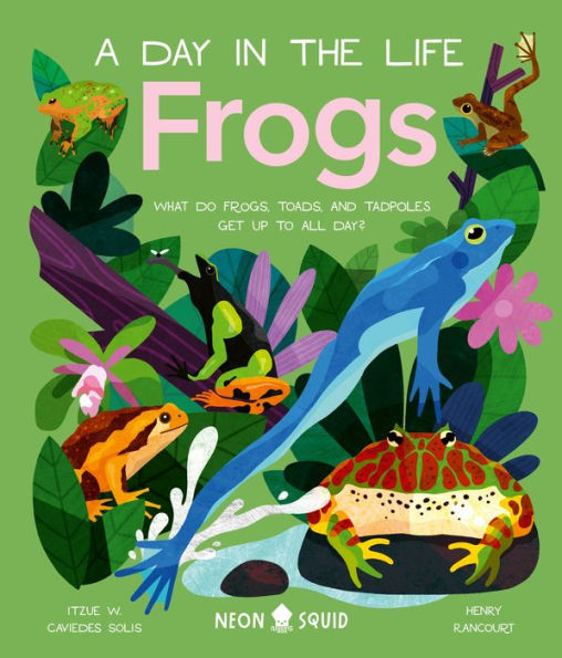 Frogs (A Day In The Life): What Do Frogs, Toads, And Tadpoles Get Up To All Day?