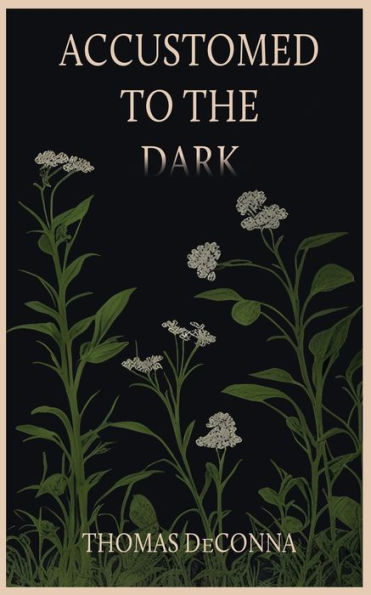 Accustomed To The Dark