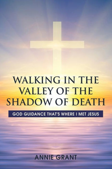 Walking In The Valley Of The Shadow Of Death: God Guidance That's Where I Met Jesus
