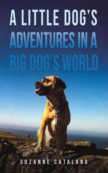A Little Dog'S Adventures In A Big Dog'S World
