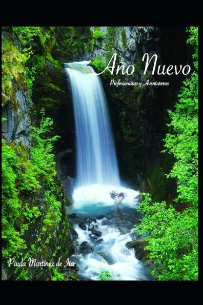 Año Nuevo (Edición Española)