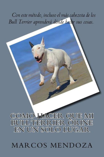 Como Hacer que Mi Bull Terrier Orine en un Solo Lugar (Edición Española)