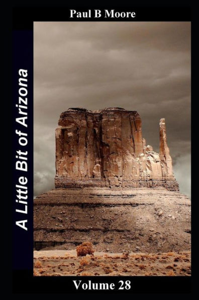 A Little Bit of Arizona: Volume 28
