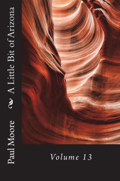A Little Bit of Arizona: Volume 13