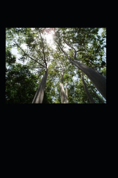 100 Poems: For conscious humans