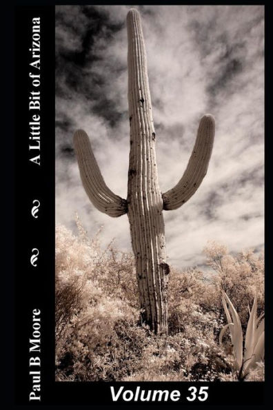 A Little Bit of Arizona: Volume 35
