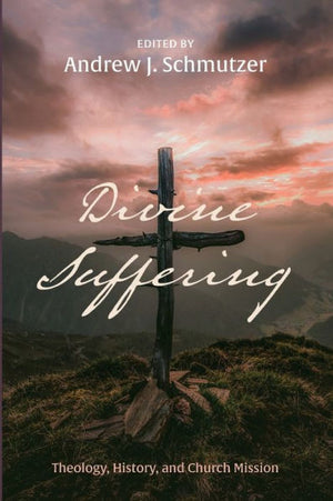 Divine Suffering: Theology, History, And Church Mission