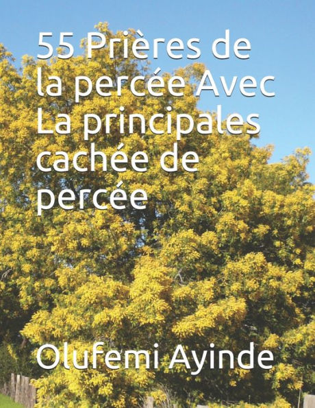 55 Prières de la percée Avec La principales cachée de percée (French Edition)