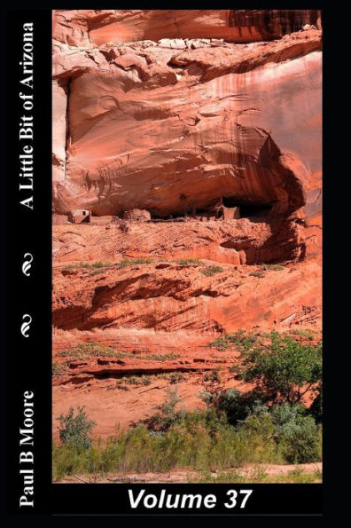 A Little Bit of Arizona: Volume 37
