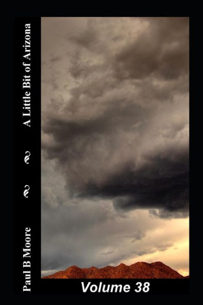 A Little Bit of Arizona: Volume 38