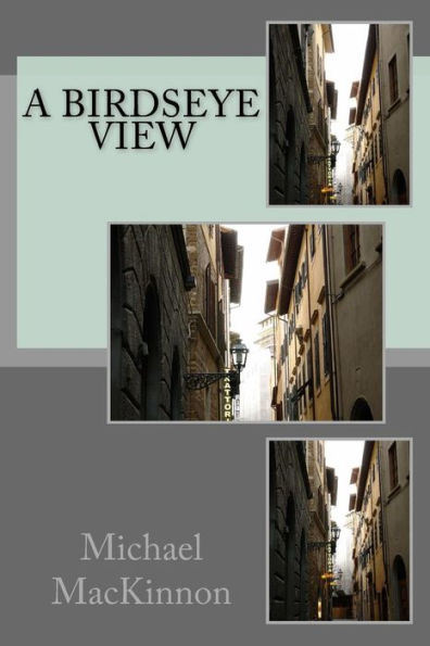 A Birdseye View