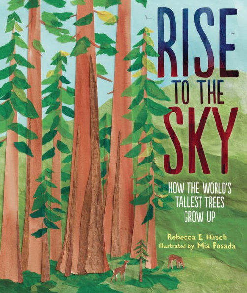Rise To The Sky: How The World'S Tallest Trees Grow Up