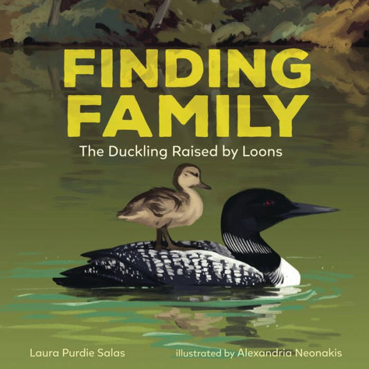 Finding Family: The Duckling Raised By Loons