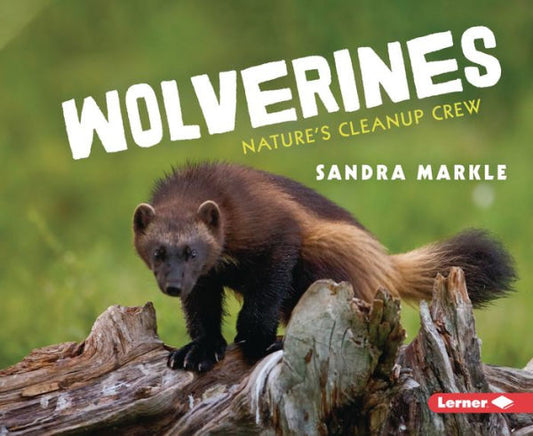 Wolverines: Nature'S Cleanup Crew (Animal Scavengers In Action)