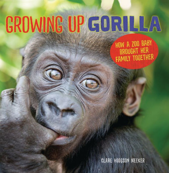 Growing Up Gorilla: How A Zoo Baby Brought Her Family Together