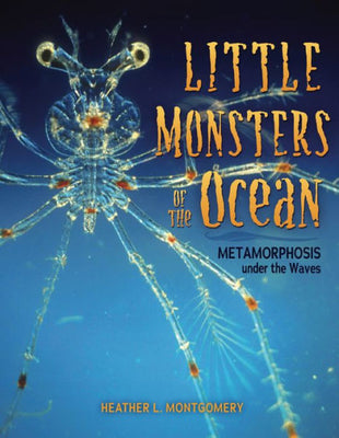 Little Monsters Of The Ocean: Metamorphosis Under The Waves