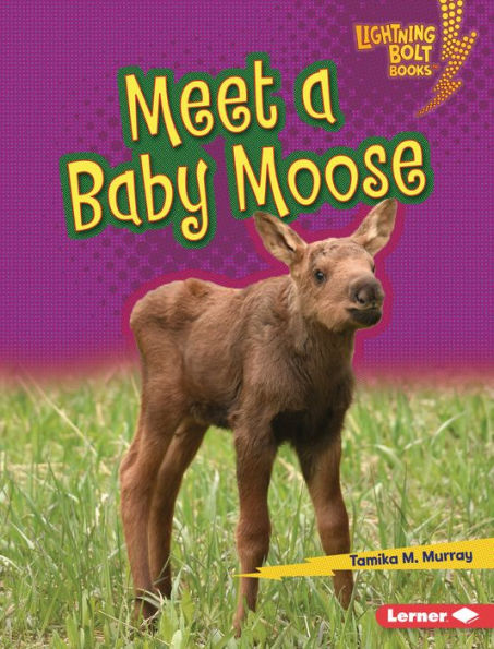 Meet A Baby Moose (Lightning Bolt Books ® ? Baby North American Animals)