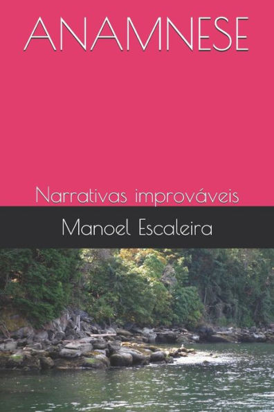 ANAMNESE: Narrativas improváveis (Portuguese Edition)