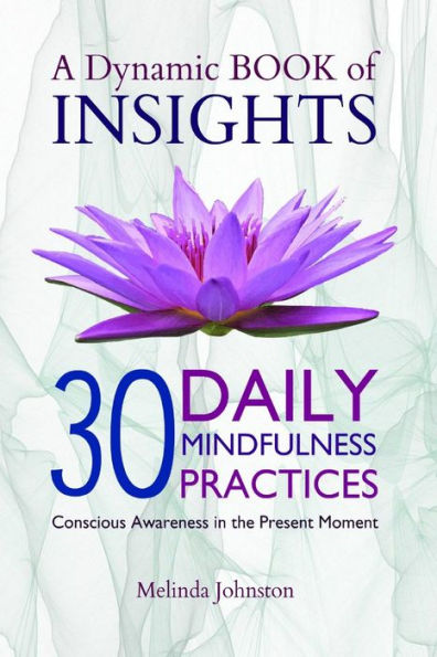A Dynamic Book of Insights: Conscious Awareness of the Present Moment (Peace Packs)