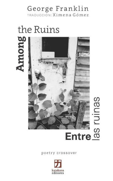 Among the Ruins/Entre las ruinas: Bilingual edition (English-Spanish) (poetry crossover)