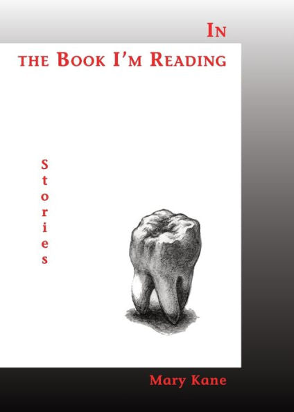 En el libro que estoy leyendo