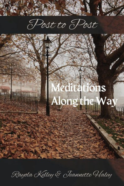 Post To Post Meditations Along The Way