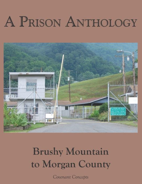 A Prison Anthology: Brushy Mountain To Morgan County