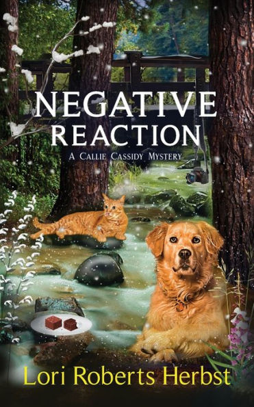 Negative Reaction (Callie Cassidy Mysteries)