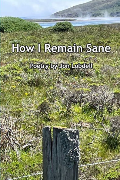 How I Remain Sane